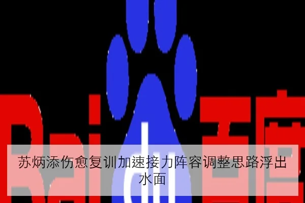 苏炳添伤愈复训加速接力阵容调整思路浮出水面